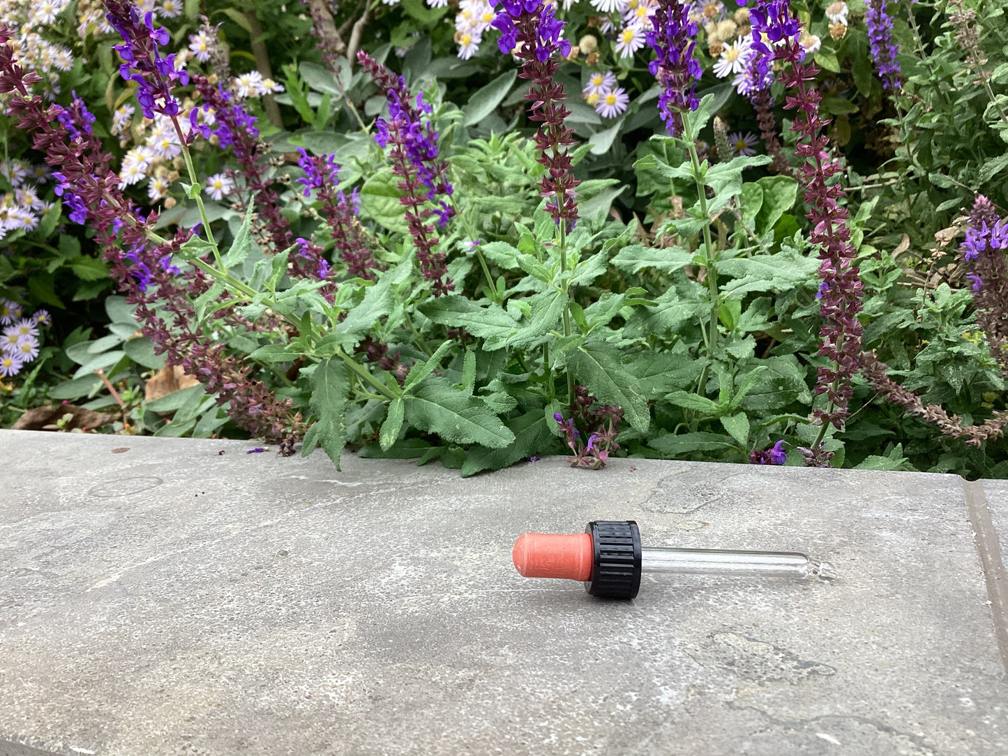 Doseer Pipet glas Van Imkerij "De Honingbij"