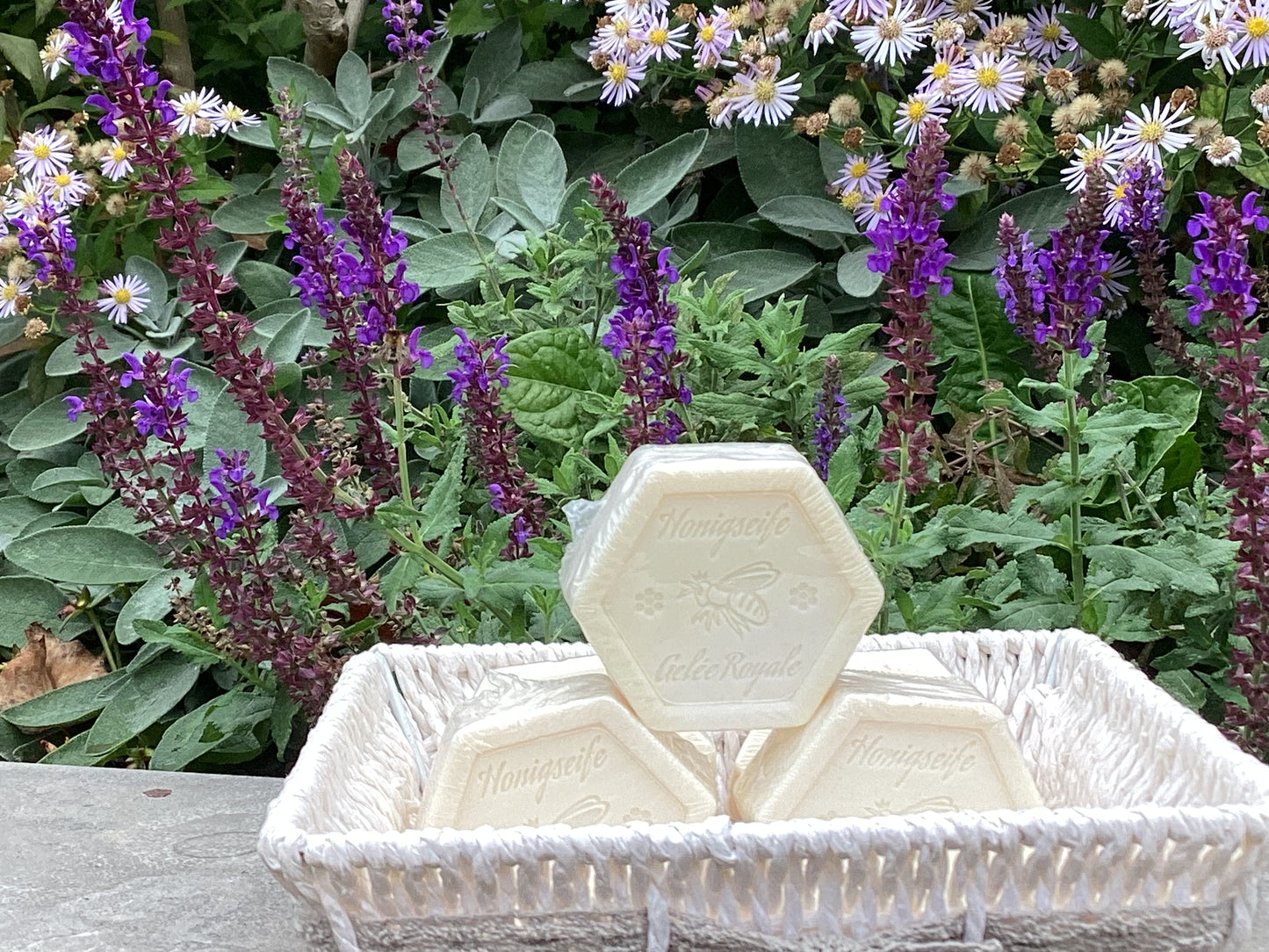 Raadzeep met gelee Royal