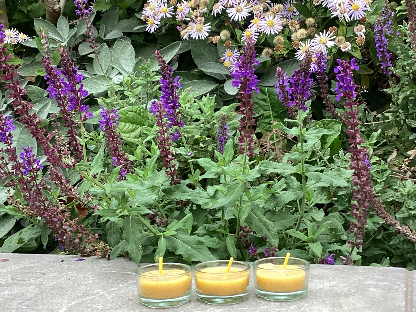 Bijenwas Theelicht Van Imkerij "De Honingbij"