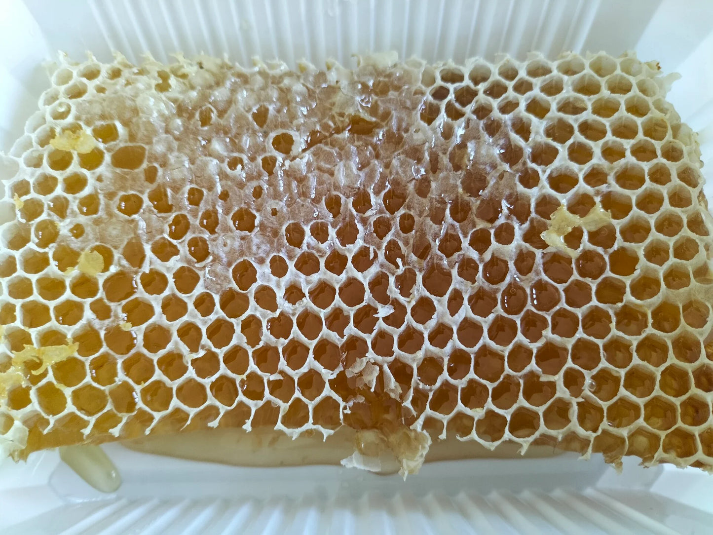 Pure Raathoning van Imkerij "De Honingbij"