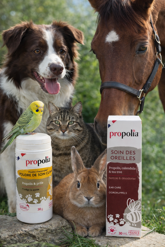 verzorgende producten voor dieren van Propolia
